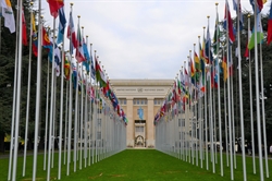 The United Nations with flags The United Nations with flags